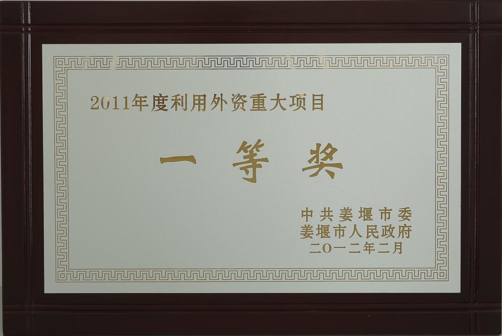 2011年度利用外資重大項(xiàng)目